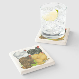 Four Cochin Hens Stone Coaster