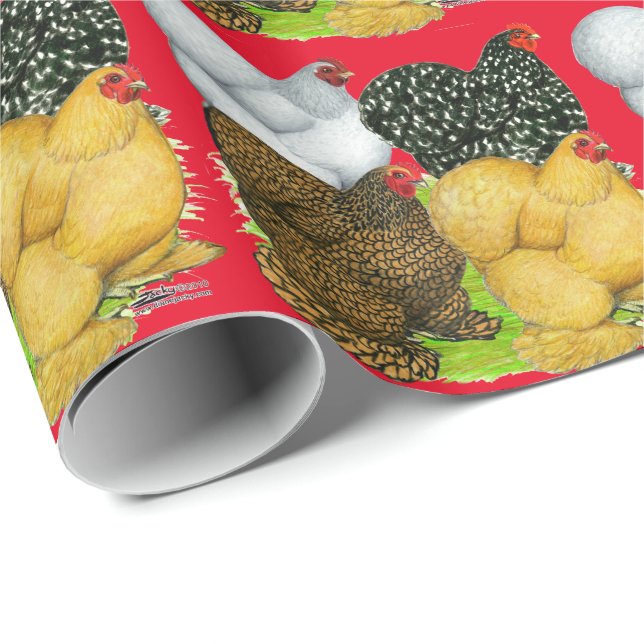 Four Cochin Hens Wrapping Paper (Roll Corner)