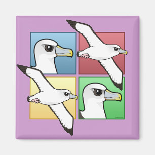 Four Colour Albatross Magnet