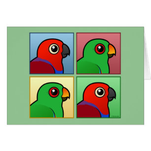 Four Colour Eclectus