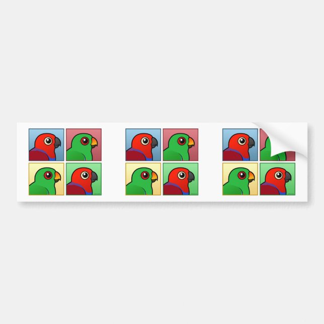 Four Colour Eclectus Bumper Sticker (Front)