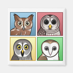 Four Colour Owls (pastel) Magnet