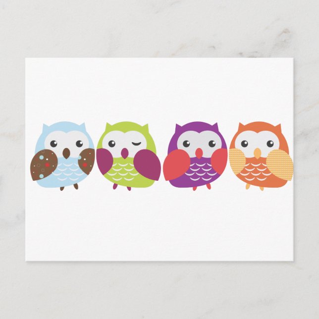 Four Colourful Owls Postcard (Front)