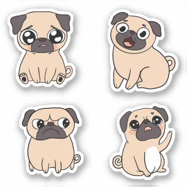 Four Cute Pug Dog Expressions  (Front)