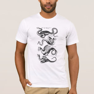 Four Dragons from Mythology T-Shirt