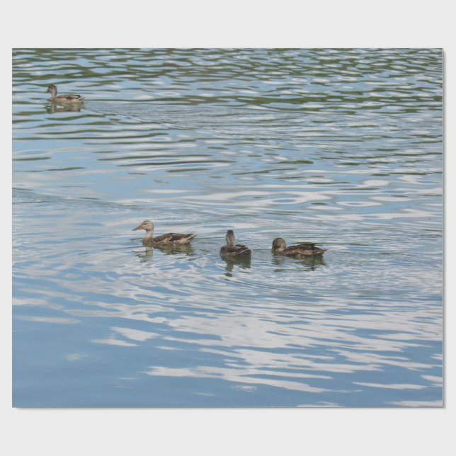 Four Ducks on the River Wrapping Paper (Flat)