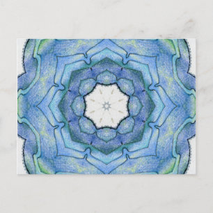 Four Elements Water Mandala Postcard