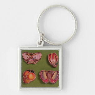Four enamelled and jewelled boxes, butterfly key ring