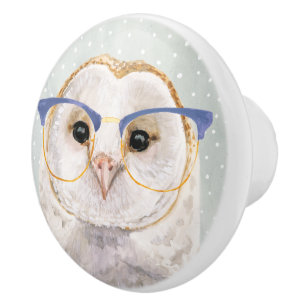 Four-Eyed Forester   Wise Owl Ceramic Knob