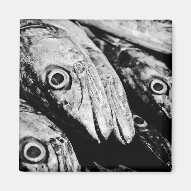 four eyes magnet (Front)