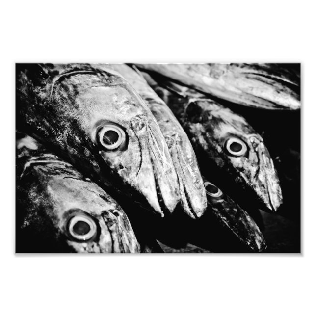 four eyes photo print (Front)