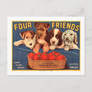 Four Friends Vintage Tomato Crate Label Dogs Postcard