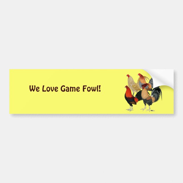 Four Gamecocks Bumper Sticker (Front)