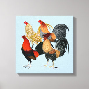 Four Gamecocks Canvas Print
