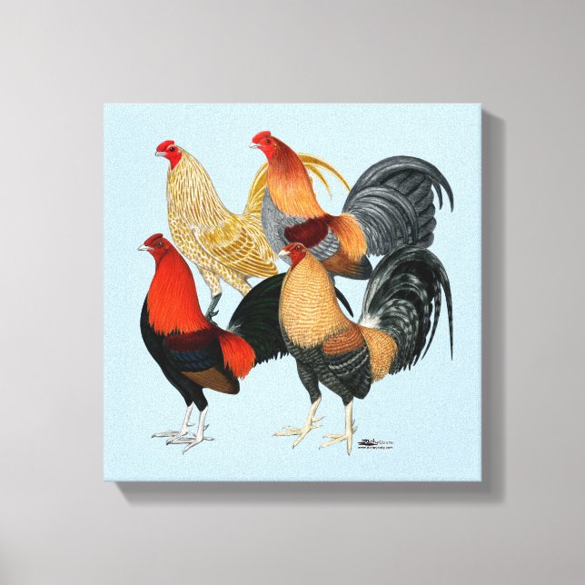 Four Gamecocks Canvas Print (Front)