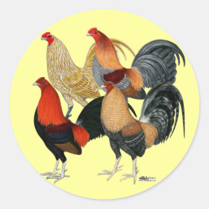 Four Gamecocks Classic Round Sticker