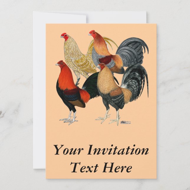 Four Gamecocks Invitation (Front)