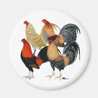 Four Gamecocks