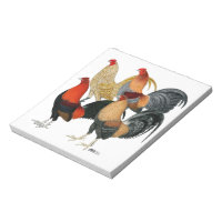 Four Gamecocks