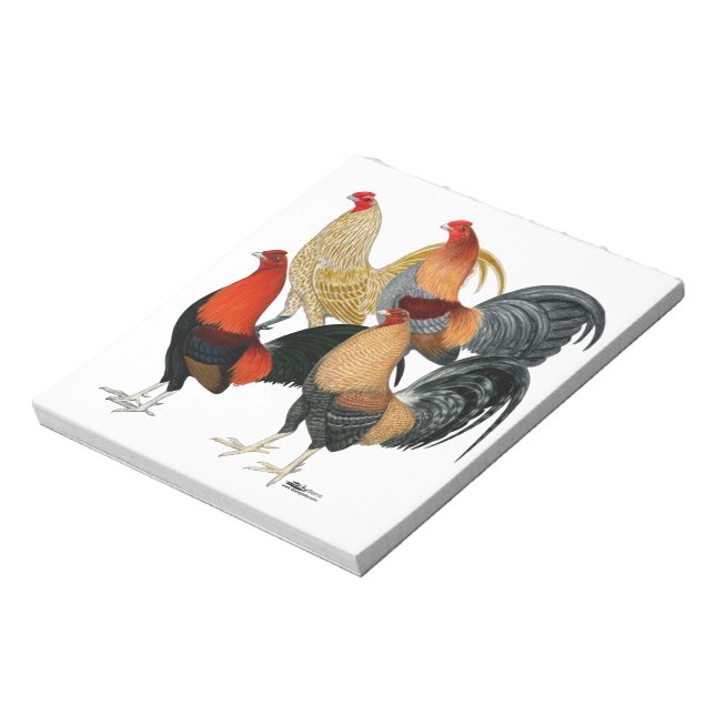 Four Gamecocks Notepad (Rotated)