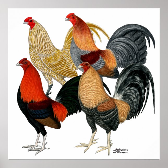 Four Gamecocks Poster (Front)