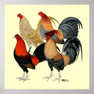 Four Gamecocks Poster