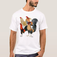 Four Gamecocks