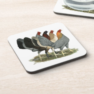 Four Gamefowl Hens Coaster