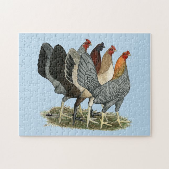 Four Gamefowl Hens Jigsaw Puzzle (Horizontal)