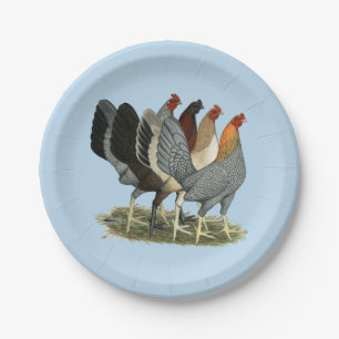 Four Gamefowl Hens Paper Plate