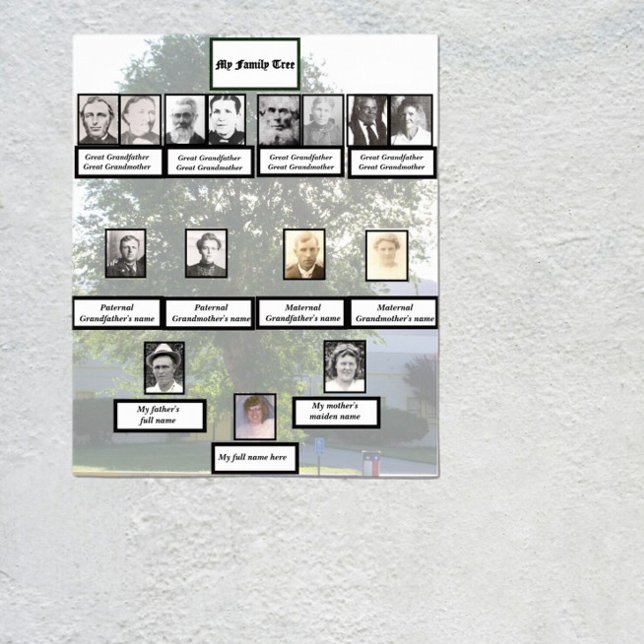 Four-Generation Chinese Elm Family Tree Photos Poster (Creator Uploaded)