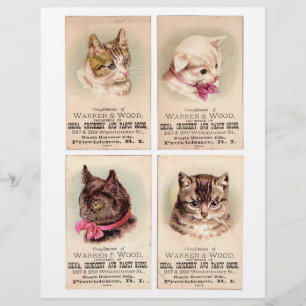 Four Genuine (not AI) Trade cards • Helena Maguire