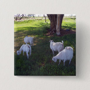 Four Goats 15 Cm Square Badge