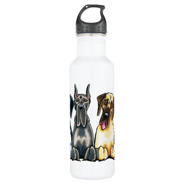 Four Great Danes 710 Ml Water Bottle (Front)