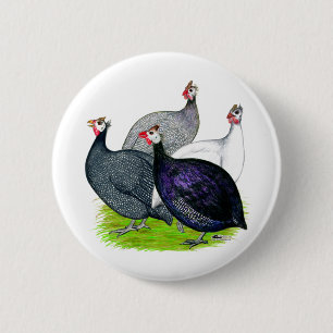 Four Guineas 6 Cm Round Badge