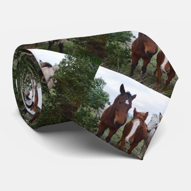 Four Horse Pals, Tie (Rolled)