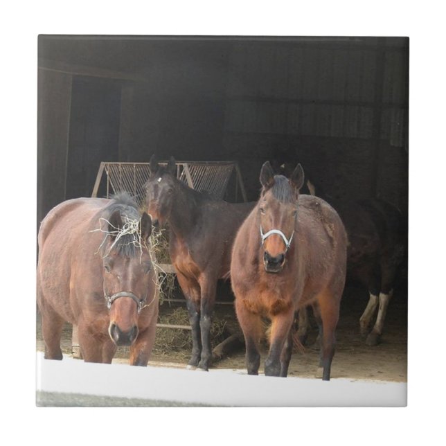 Four Horses Ceramic Tile (Front)