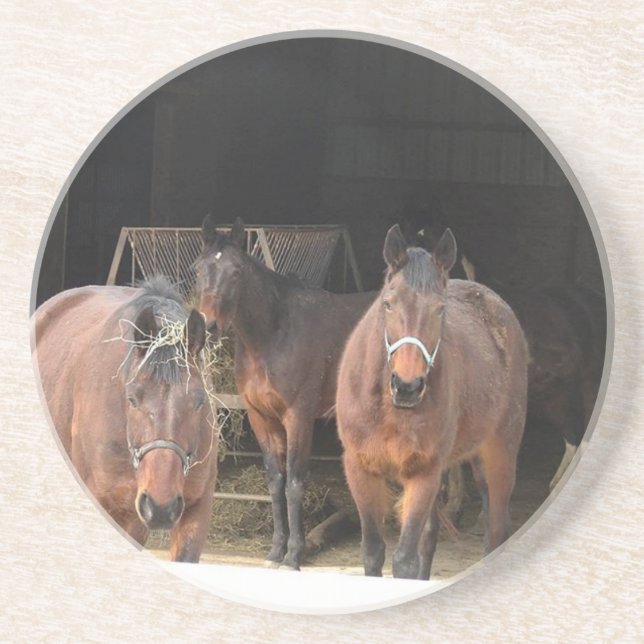 Four Horses Coaster (Front)