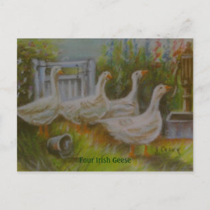 Four Irish Geese Pastel Drawing by Joanne Casey - Postcard