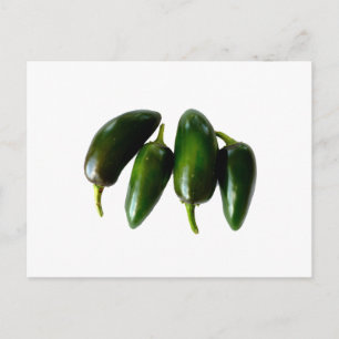 Four Jalapeno Peppers Green Photograph Postcard