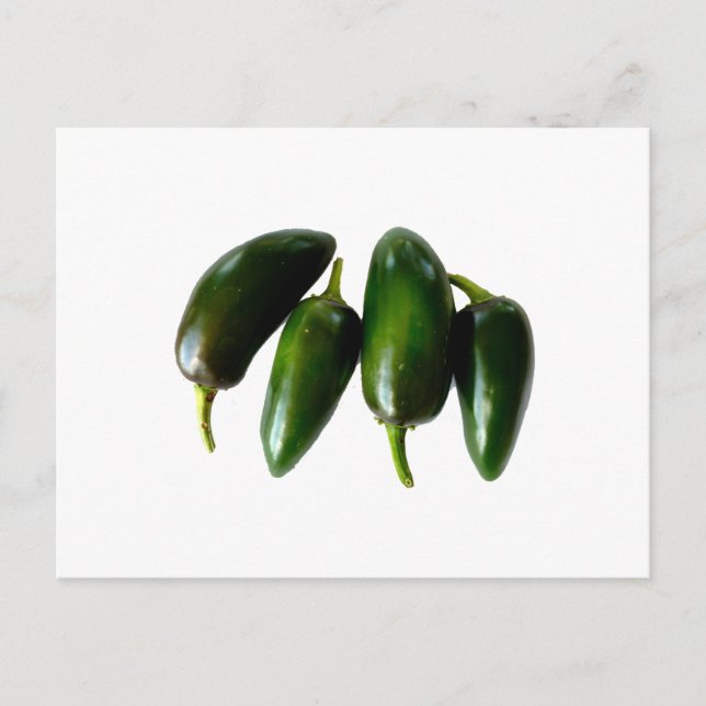 Four Jalapeno Peppers Green Photograph Postcard (Front)