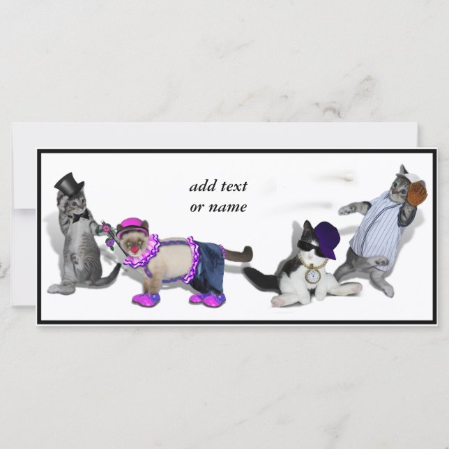 Four Kittens At Play (Front)