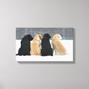 Four Labrador Dogs In Snow Canvas Print