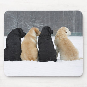Four Labrador Dogs In Snow Mouse Pad