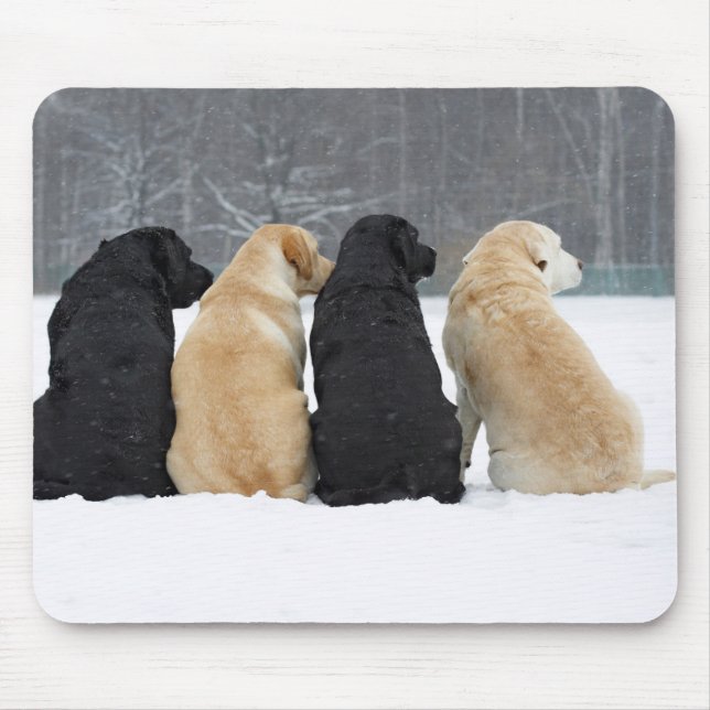 Four Labrador Dogs In Snow Mouse Pad (Front)