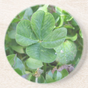 Four Leaf Clover Coaster