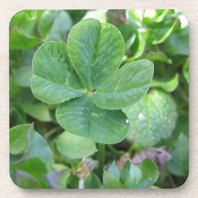 Four Leaf Clover Coaster (Front)