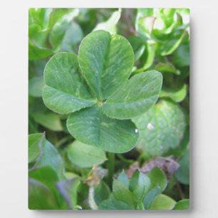 Four Leaf Clover Plaque