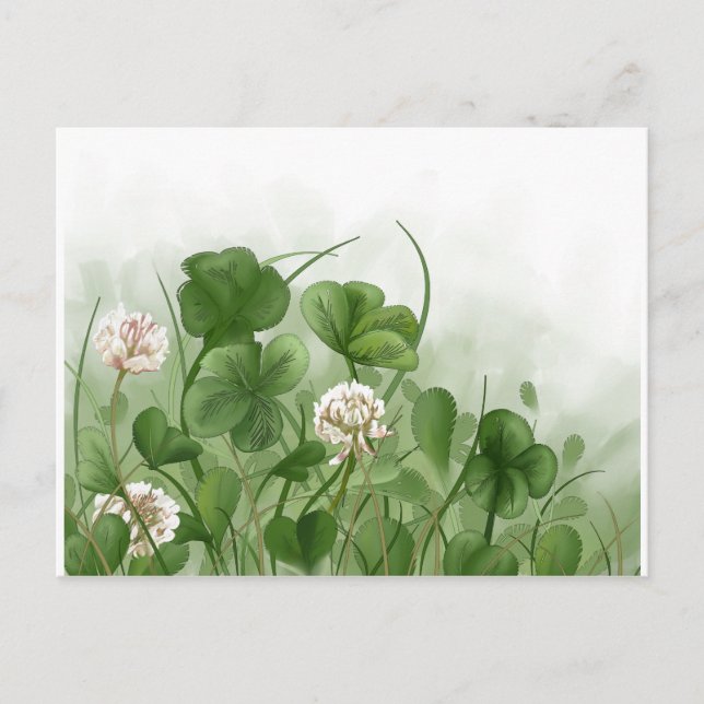 Four Leaf Clover Postcard (Front)