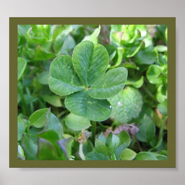 Four leaf clover poster (Front)